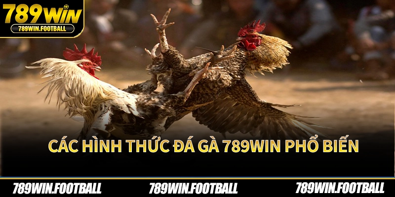 Các hình thức đá gà 789Win phổ biến